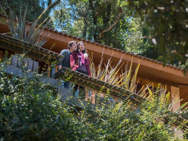 Casal abraçado em uma passarela entre as copas das árvores